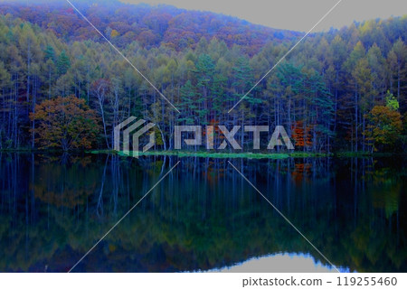 秋天的池塘映照出的畫作世界 119255460