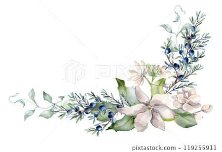 Jasmine pink flowers and juniper branch watercolor illustration isolated. Corner floral arrangement in soft tones in botanical style hand drawn. Blooms and coniferous plants for wedding, Christmas. 119255911