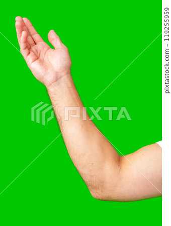 human arm gesturing with raised fingers against a bright green backdrop human arm gesturing with raised fingers against a bright green backdrop 119255959