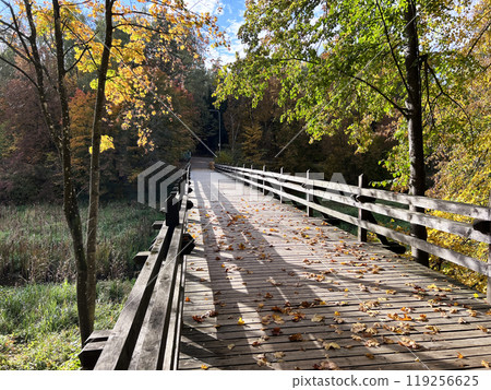 Autumn nature landscape. Lake bridge in fall forest. Path way in gold woods. Romantic view image scene. Magic misty sunset pond. Red color tree leaf park. Rumsiskes Autumn nature landscape. Lake bridge in fall forest. Path way in gold woods. Romantic view image scene. Magic misty sunset pond. Red color tree leaf park. Rumsiskes 119256625