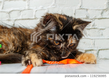Beautiful little cat girl on a background of a brick wall 119256995