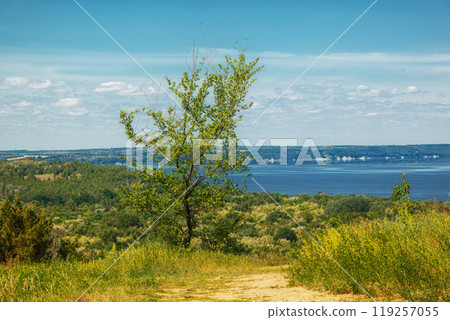 beautiful meadow on the hills with grass and flowers against the background of the sea and the sky 119257055