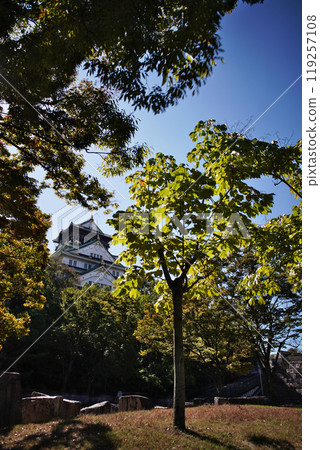The majestic scene of Osaka Castle The majestic scene of Osaka Castle 119257108