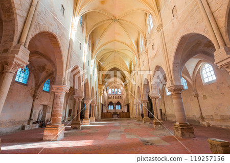 Collegiate saint martin church, Champeaux, France, interiors Collegiate saint martin church, Champeaux, France, interiors 119257156