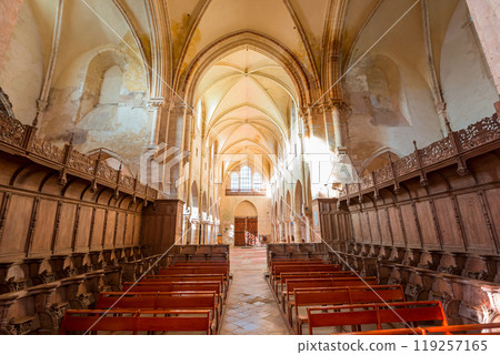 Collegiate saint martin church, Champeaux, France, interiors Collegiate saint martin church, Champeaux, France, interiors 119257165