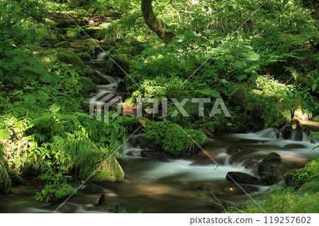 登山Ohyama 登山Ohyama 119257602