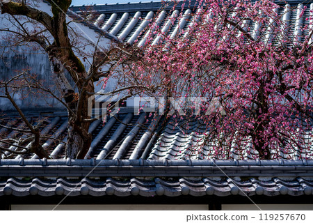拍攝奈良縣五條市的舊新町街，已被指定為國家重要傳統建築群保存區。 119257670
