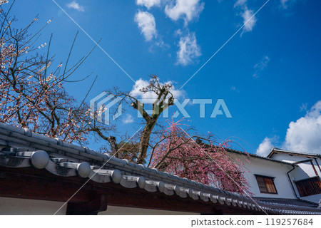 拍攝奈良縣五條市的舊新町街,已被指定為國家重要傳統建築群保存區。 拍攝奈良縣五條市的舊新町街,已被指定為國家重要傳統建築群保存區。 119257684