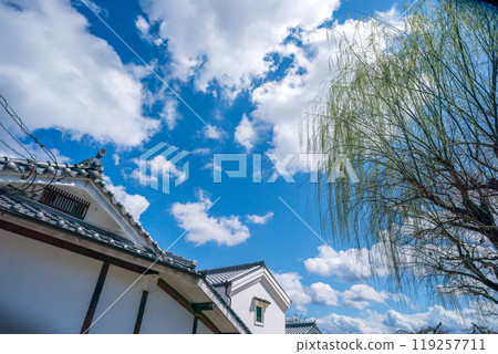 拍攝奈良縣五條市的舊新町街,已被指定為國家重要傳統建築群保存區。 拍攝奈良縣五條市的舊新町街,已被指定為國家重要傳統建築群保存區。 119257711