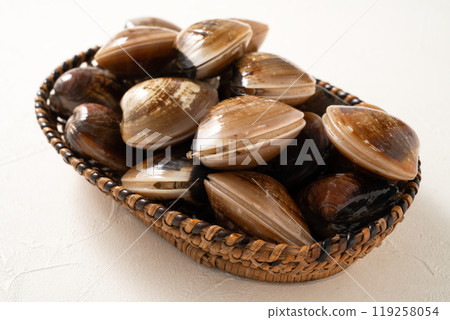 蛤蜊 文蛤 海鮮 新鮮 生的 raw fresh clam 活 はまぐり ハマグリ 蛤蜊 文蛤 海鮮 新鮮 生的 raw fresh clam 活 はまぐり ハマグリ 119258054