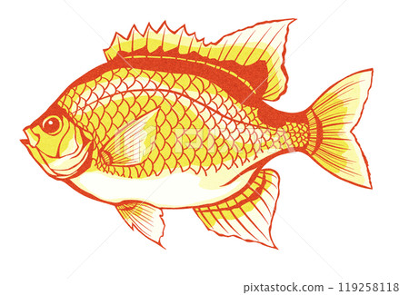 美麗的魚雀鯛的剪圖 119258118