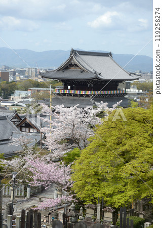 Spring Konkai Komyoji Sanmon, Kurodani, Sakyo-ku, Kyoto 119258274