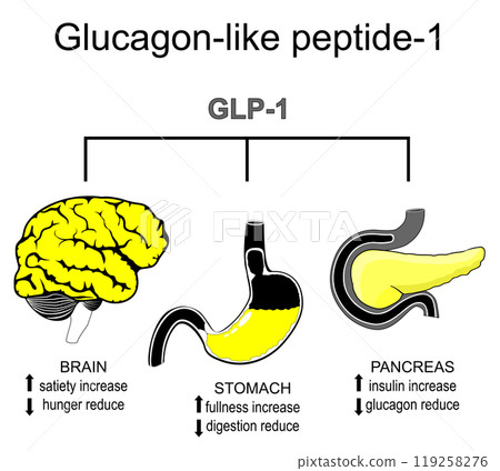 Glucagon-like peptide-1. Weight loss therapy Glucagon-like peptide-1. Weight loss therapy 119258276