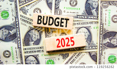 Planning budget 2025 new year symbol. Concept words Budget 2025 on beautiful wooden blocks. Dollar bills. Beautiful background from dollar bills. Business budget 2025 new year concept. Copy space. Planning budget 2025 new year symbol. Concept words Budget 2025 on beautiful wooden blocks. Dollar bills. Beautiful background from dollar bills. Business budget 2025 new year concept. Copy space. 119258282