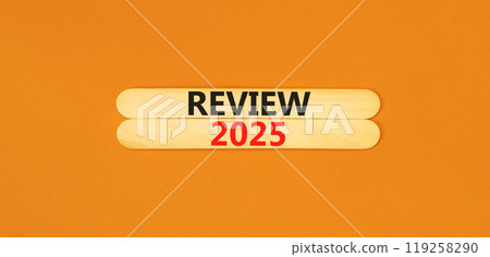 Planning review 2025 new year symbol. Concept words Review 2025 on beautiful wooden sticks. Beautiful orange background. Business review 2025 new year concept. Copy space. 119258290