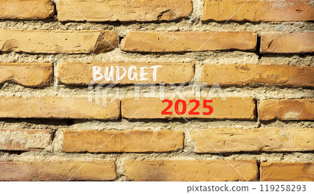 Planning budget 2025 new year symbol. Concept words Budget 2025 on beautiful brown brick wall. Beautiful brown brick wall background. Business budget 2025 new year concept. Copy space. 119258293
