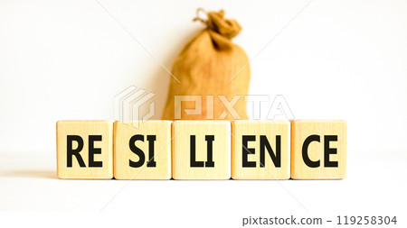 Resilience symbol. Concept word Resilience on beautiful wooden blocks. Beautiful white background. Beautiful canvas bag. Business resilience concept. Copy space. 119258304