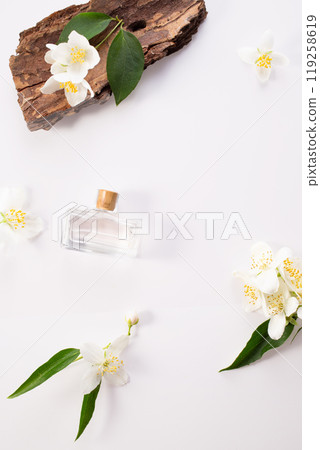 Jasmine flowers, bark and perfume bottle on white background. Flat lay. Copy space 119258619