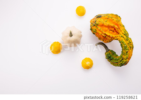 Autumn decoration from dry leaves and pumpkins on white background. Flat lay. Thanksgiving, halloween concept. 119258621