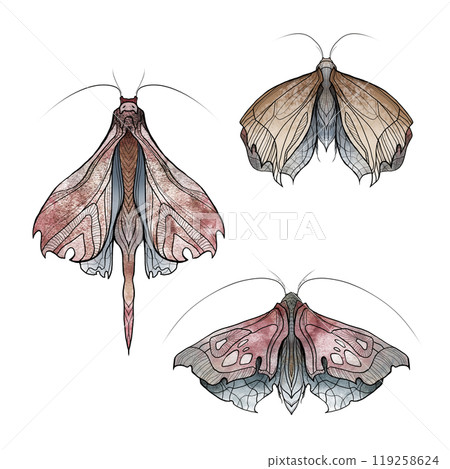 A uniquely delicate watercolor butterfly drawing 119258624