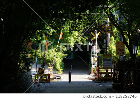 [京都嵐山]野宮神社附近的木製隧道 119258746