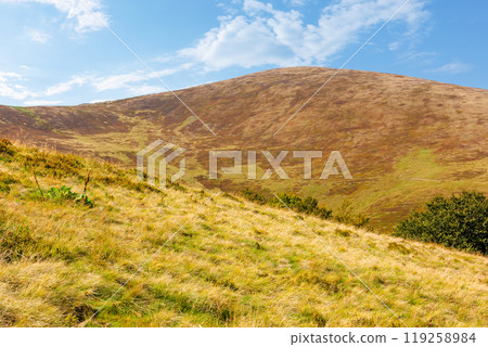 alpine hills and meadows in autumn. sunny weather. colorful carpathian mountain landscape. krasna ridge in ukraine in fall season. great afternoon recreation 119258984