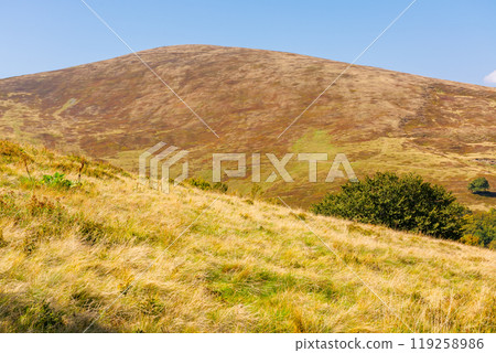 alpine hills and meadows in autumn. sunny weather. colorful carpathian mountain landscape. krasna ridge in ukraine in fall season. europe highland green environment 119258986