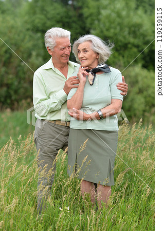 Beautiful senior couple relaxing and posing in the summer park 119259115