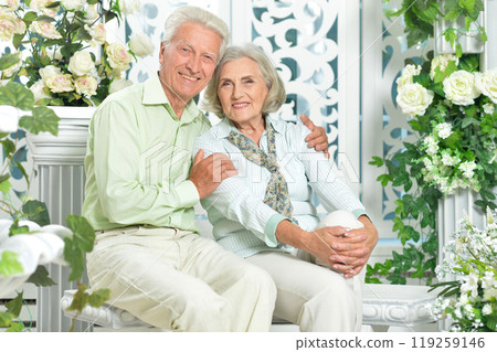 Elderly couple sitting at the country house Elderly couple sitting at the country house 119259146