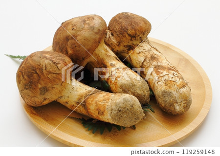 Matsutake Matsutake 119259148