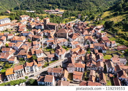 Dense urban development of medieval Spanish town of Isaba, view from above. 119259553