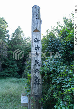 Shinji citizen's forest 119260180