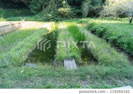 矢戶田（二春市民之森） 119260182