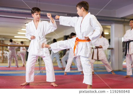 Two boys in kimono sparring together 119260848