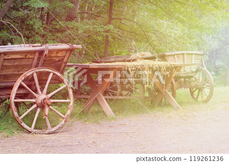 Traditional country vehicle in nature background. Vintage wooden cart. Sunny. Traditional country vehicle in nature background. Vintage wooden cart. Sunny. 119261236