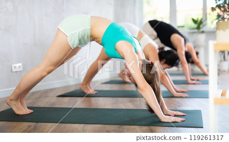 European teen girl performs pose dog face down - Adho Mukha Shvanasana European teen girl performs pose dog face down - Adho Mukha Shvanasana 119261317