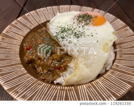 Gapao Rice: Stir-fried basil and minced chicken over rice. Gapao Rice: Stir-fried basil and minced chicken over rice. 119261330