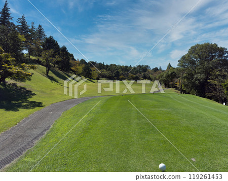 Golf course 119261453