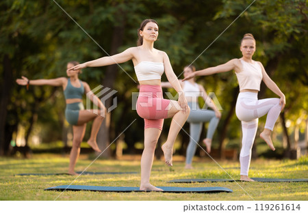 Group of young women doing stretching in park 119261614