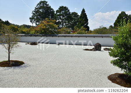 Manshuin Temple - Shinden Garden "The Garden of the Blind Turtle and the Floating Tree" 119262204