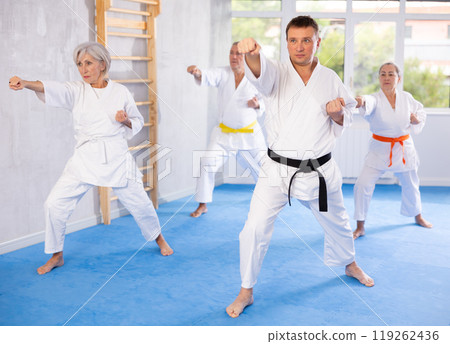Senior students perform basic movements and repeat to hold pose, learning technique of kata 119262436