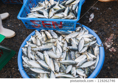 Sale of fresh fish at street seafood market in Vietnam in Asia 119262746