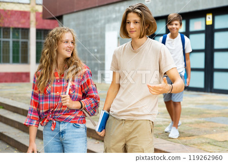 Smiling teenagers boy and girl walking home after finishing college lessons on day Smiling teenagers boy and girl walking home after finishing college lessons on day 119262960