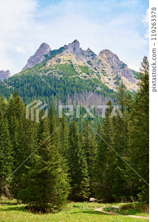 Mountain landscape with green meadow, surrounded by pine forests and snow-capped peaks under clear sky. Tatra mountains in Zakopane, Poland. Giewont summit Mountain landscape with green meadow, surrounded by pine forests and snow-capped peaks under clear sky. Tatra mountains in Zakopane, Poland. Giewont summit 119263378