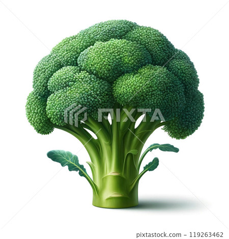 Broccoli illustration material 119263462