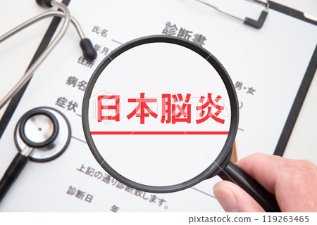 日本腦炎 日本腦炎 119263465