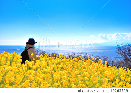 關東/東山公園/欣賞春天到來的油菜花和波光粼粼的大海的觀光形象/神奈川縣二宮町(1) 關東/東山公園/欣賞春天到來的油菜花和波光粼粼的大海的觀光形象/神奈川縣二宮町(1) 119263739