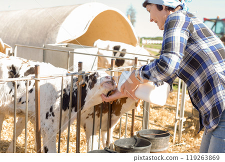 Mature woman taking care of dairy herd in livestock farm 119263869