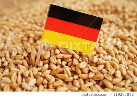 Germany flag on grain wheat, trade export and economy. 119263898