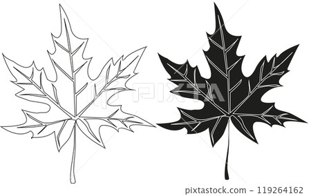 maple leaf. leaf from a tree in black and white maple leaf. leaf from a tree in black and white 119264162